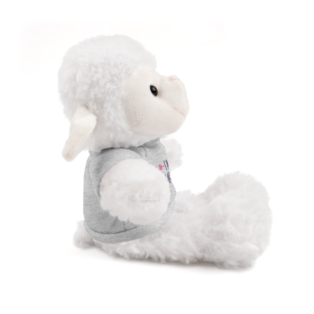 CAN- Cancer Survivor Stuffed Animals with Tee