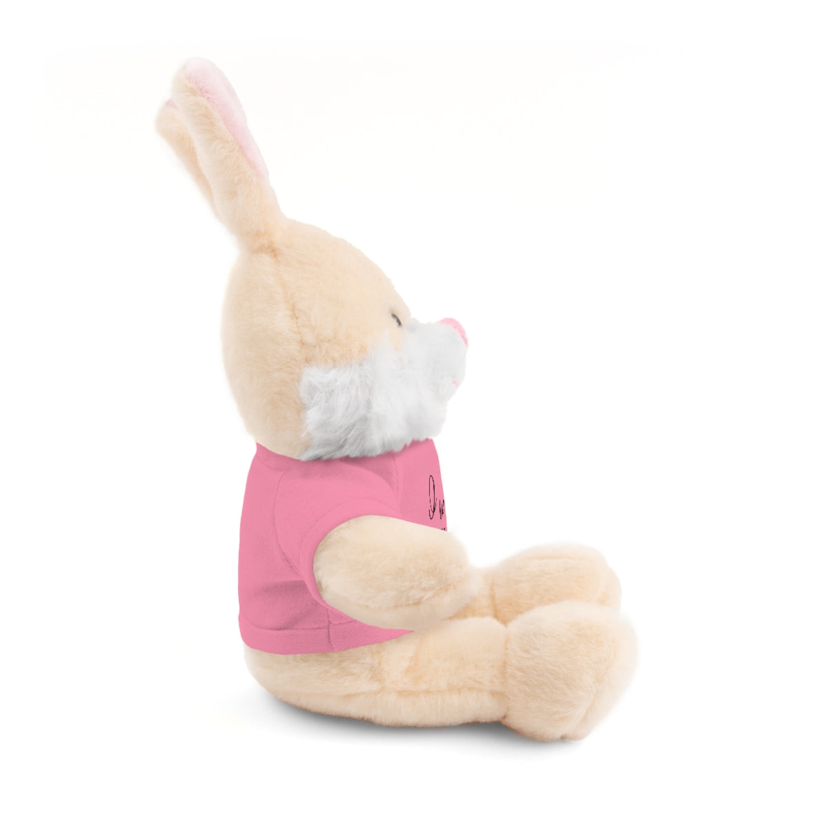 C- I Will Walk By Faith Stuffed Animals with Tee