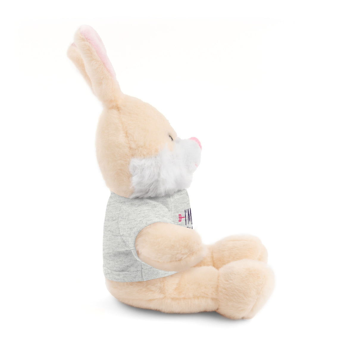 CAN- Cancer Survivor Stuffed Animals with Tee