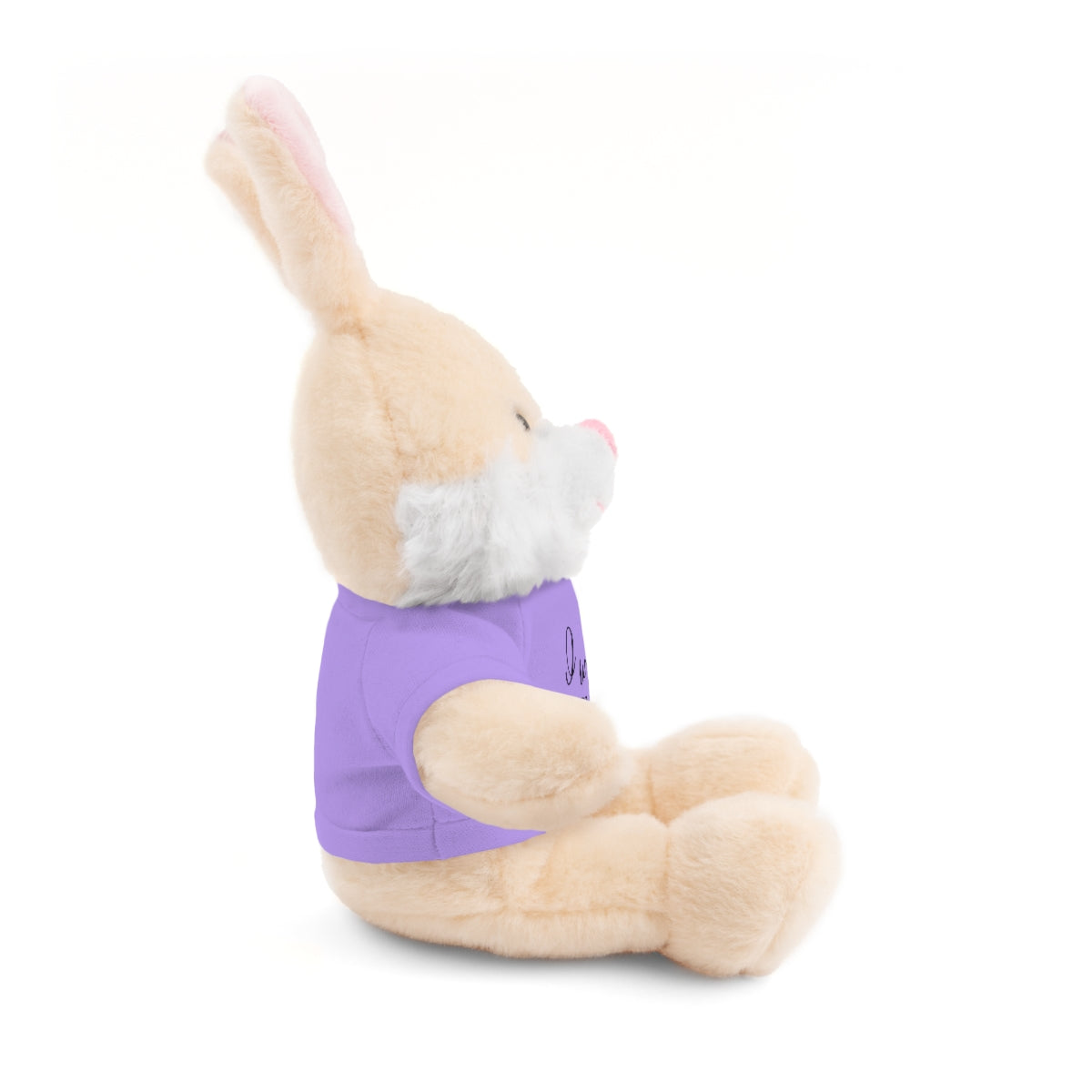 C- I Will Walk By Faith Stuffed Animals with Tee
